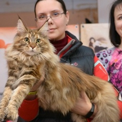 Светлана Артамонова, 11.12, Астрахань
