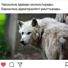 Касымхан Саранбаев, 21.01, Тараз