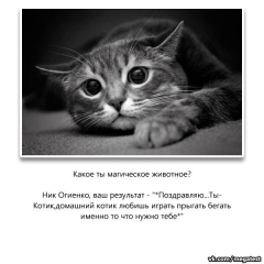 Ник Огиенко, 28.02, Майский