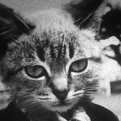 Игорь Витальевич, 28.09.1989, Санкт-Петербург