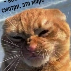 Барсик Уходим, 15.11.1992, Санкт-Петербург