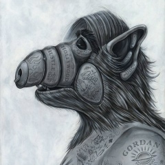 Alf Troff, Казань