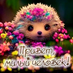 Не-Важно Кто-Я, 24.09, Москва