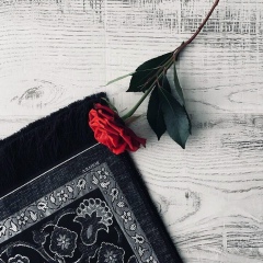 Zuhra Tadzhieva, Шымкент