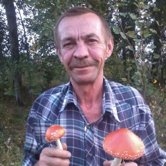 Сергей Новиков, Алматы