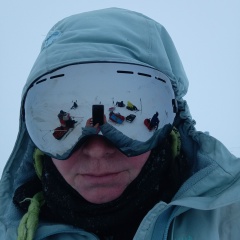 Елена Браверман