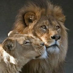 Сергуня Краков, 17.01.1990, Краснодар