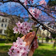 Гамма Гранд, 08.03