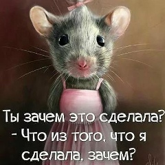 Мария Сергеевна, 07.11, Санкт-Петербург