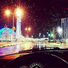 Волк В, Аргун