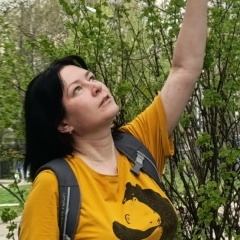Вера Зубкова, 17.12, Москва