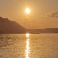 Ариана Сновая, Санкт-Петербург