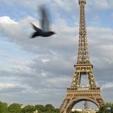 Лариса Палина, 22.03.1964, Кудымкар