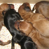 Данил Громов, 10.05, Запорожье