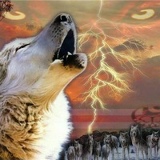 Антон Бондарук, 17.07.1987, Киев