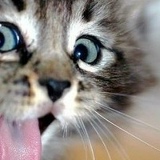 Тогжан Калиева, 06.04, Астана