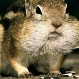 Сергий Иванов, 08.09, Ростов-на-Дону