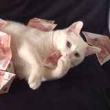 Кирилл Евсеенко