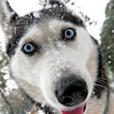 Самвел Шахпаронян, 03.03.1965, Marseille