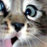 Майя Зиангирова, 25.05, Москва