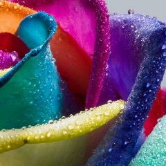 Роза Бактыбаева, 19.10.1986, Алматы