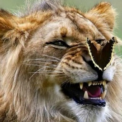 Марат Мансуров, 26.03