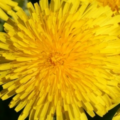 Роман Чуваев, 16.07, Москва