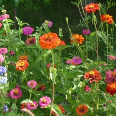 Эльза Дуйшокоева, 16.02