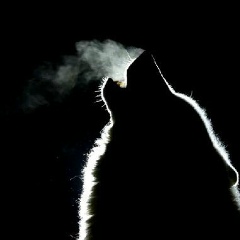 Кондрат Вотчель, 13.08.2010, Алматы