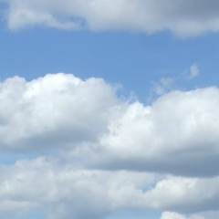 Елена Любчик, 23.09