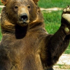 Мишка Мишкин, 07.04.1978, Chicago