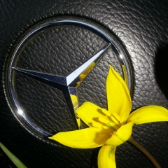 Айдар Губайдуллин, 15.06.1989, Уральск