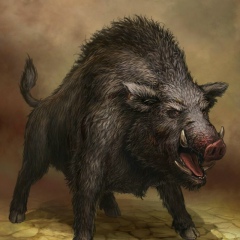 Ерлан Абылкасымов, 12.08, Алматы