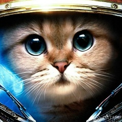 Иван Щипакин, 22.11, Нижний Новгород