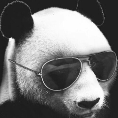 Гена М, 15.07, Москва