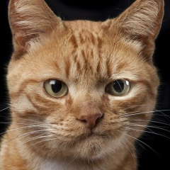 Павел Юрьевич