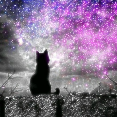 Анна Вайднер, 08.08