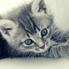 Марина Ташланова, 18.08, Павлодар