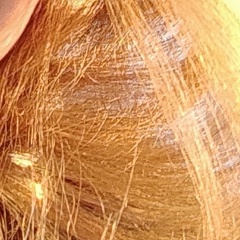 Кира Мартемьянова, Томск