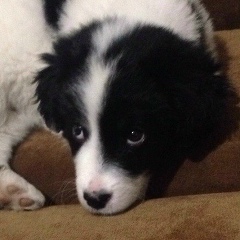 Джульетта Босикова, 09.11, Санкт-Петербург