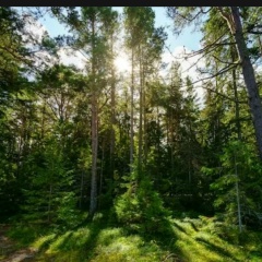 Юлия Юльевна, 05.08