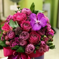 Александра Кас, 12.06.1984