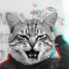 Вахтанг Голошвили, 19.01, Бишкек