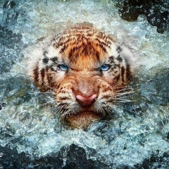 Игорь Смирнов, 03.04.1977, Санкт-Петербург