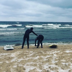 Ilya Vostrikov, 24.10.1990, Санкт-Петербург