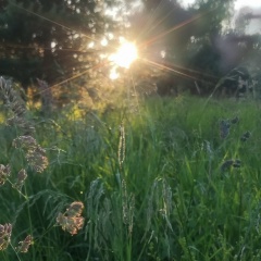 Верониченька Прекрасная, 23.11, Санкт-Петербург