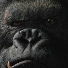 Елена Ширнина, 20.03, Москва