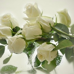 Марія Петришин, 12.03.1999, Duisburg