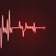 Серж Ангелов, 14.11, Луганск