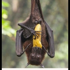 Саша Саша, 01.01.2000, Москва